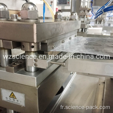Machine à emballer liquide de boursouflure de miel complètement automatique